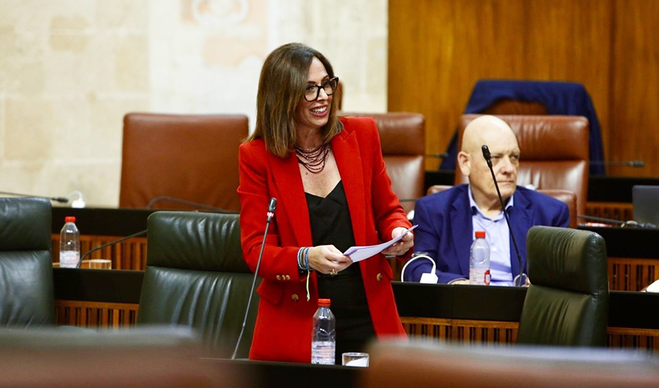 
			      Rocío Díaz durante su intervención en el Parlamento andaluz			    
			  
